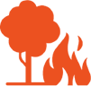 Incêndio Florestal Incêndio Florestal